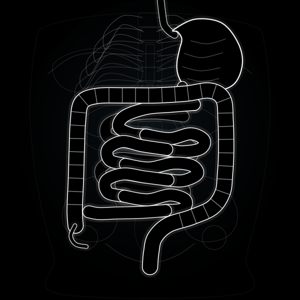 Digestive Health Care Plan